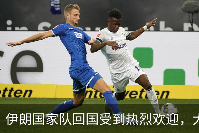 伊朗国家队回国受到热烈欢迎，大批球迷接机